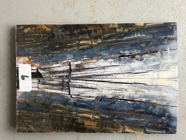 Stabilisiertes Mammutelfenbein - 5